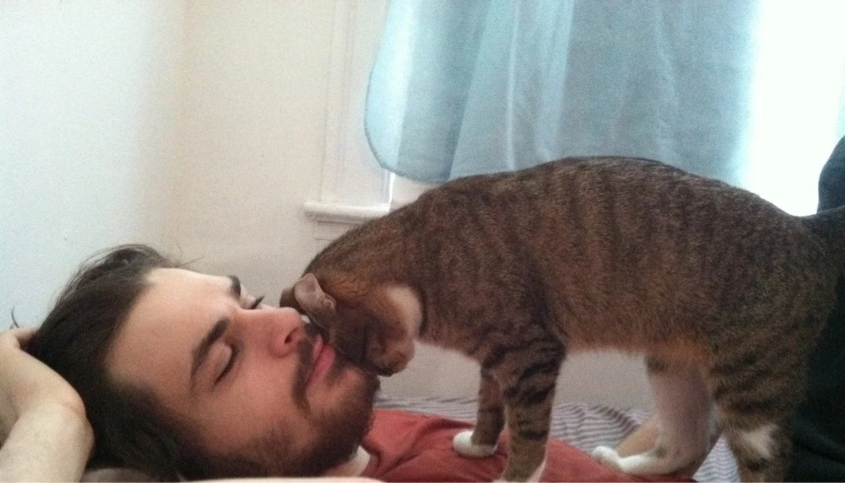 DEADLY HEADBUTT